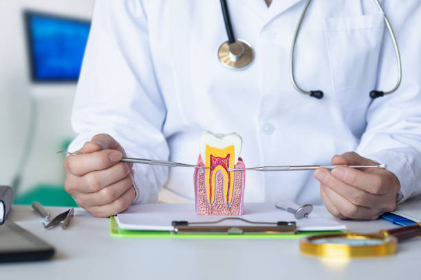 Best Weekend Emergency Dental Services in Shawneetown, IL